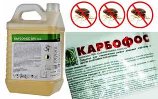 Инструкция по применению Карбофоса от тараканов с ценой и отзывами