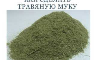 Травяной попугай | Описание, содержание, питание попугаев
