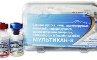 Противовирусная вакцина Мультикан (4, 6, 8)