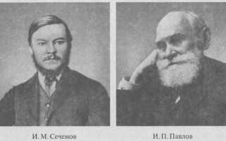 Роль и вклад И.М.Сеченова и И.П.Павлова в создании учения о высшей нервной деятельности