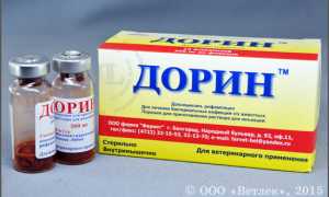 Препарат дорин: инструкция по применению в ветеринарии