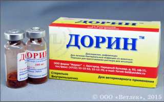 Препарат дорин: инструкция по применению в ветеринарии