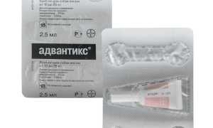 Капли от блох для собак адвантикс: инструкция по применению, цена и аналоги