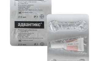 Капли от блох для собак адвантикс: инструкция по применению, цена и аналоги