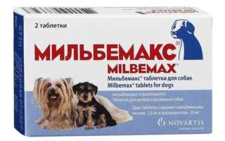 Мильбемакс – антигельминтное средство для собак