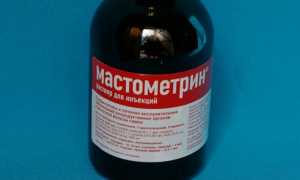 Мастометрин: инструкция по применению в ветеринарии, дозировка для кошек и собак, побочные действия
