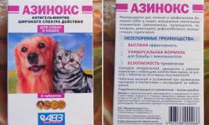 Азинокс плюс для собак: инструкция по применению таблеток