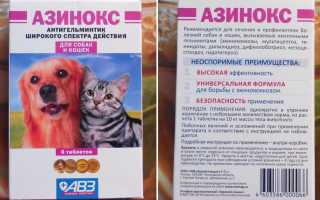 Азинокс плюс для собак: инструкция по применению таблеток
