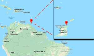 Рыбки гуппи: уход и содержание, сколько живут в аквариуме, родина, описание
