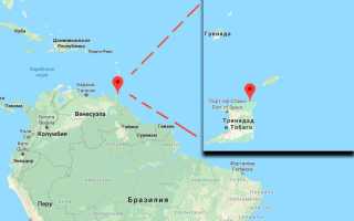 Рыбки гуппи: уход и содержание, сколько живут в аквариуме, родина, описание