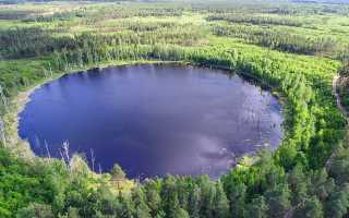Окислительно-восстановительный потенциал воды: важность для флоры и фауны, увеличение и снижение, измерение