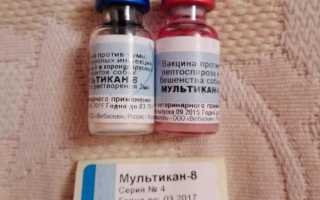 Мультикан 8: инструкция по применению для собак, состав вакцины и форма выпуска, противопоказания