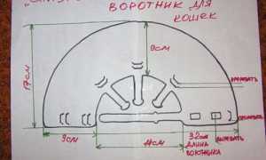 Защитный воротник для кошек (инструкция и сделать самостоятельно)