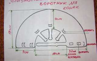 Защитный воротник для кошек (инструкция и сделать самостоятельно)