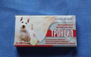 Тронцил для собак: инструкция по применению для собак, побочные эффекты и противопоказания