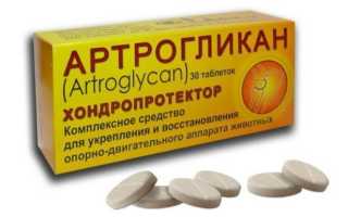 Артрогликан – для укрепления и восстановления опорно-двигательного аппарата собаки