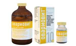 Овариовит для собак: инструкция по применению для собак в ветеринарии