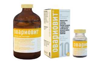 Овариовит для собак: инструкция по применению для собак в ветеринарии