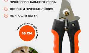 Когтерезки для больших пород собак — ТОП 5 лучших моделей