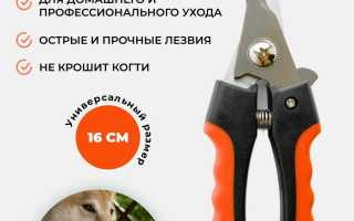 Когтерезки для больших пород собак — ТОП 5 лучших моделей