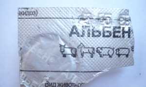 Альбен: инструкция по применению для животных, противопоказания и побочные действия, цена и аналоги