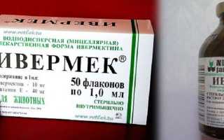 Инструкция по применению препарата ивермек в ветеринарии: для собак и кошек, дозировка