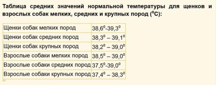 таблица показателей нормальной температуры у собаки
