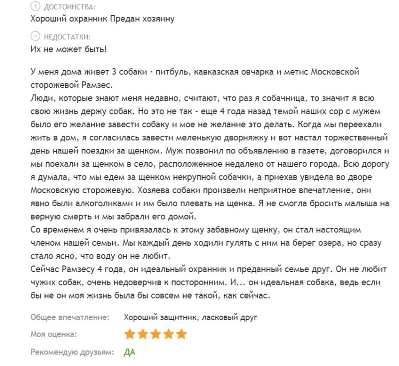 Московская сторожевая овчарка