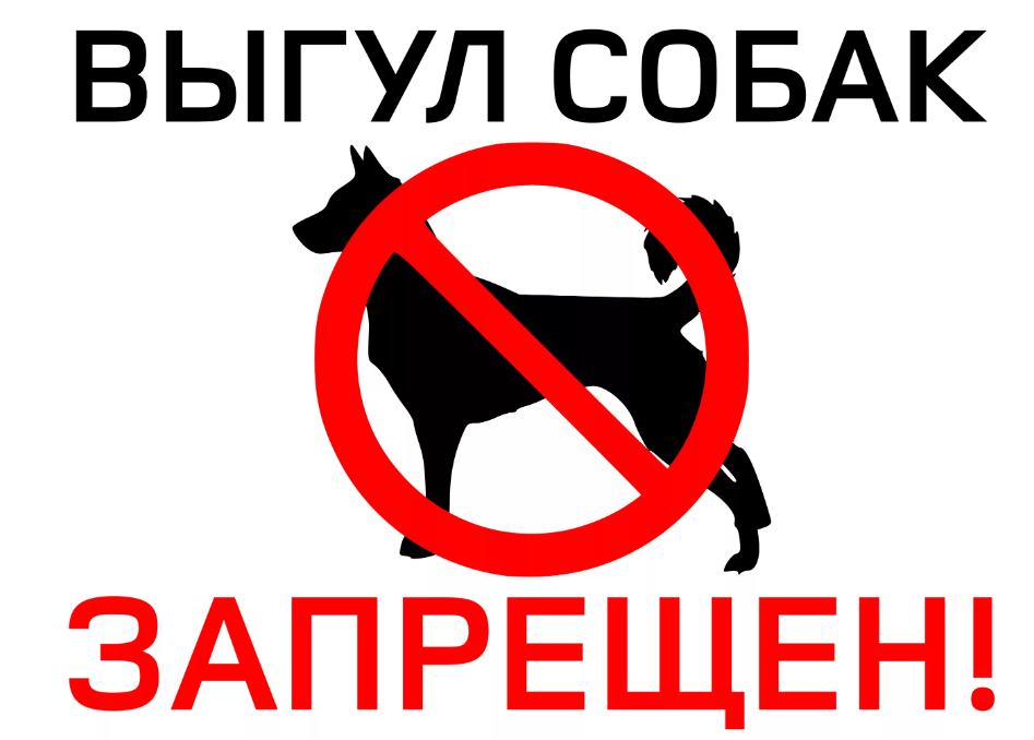 что значит выгул собак запрещен