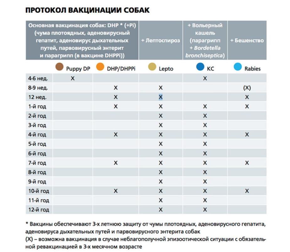 схема вакцинации нобиваком