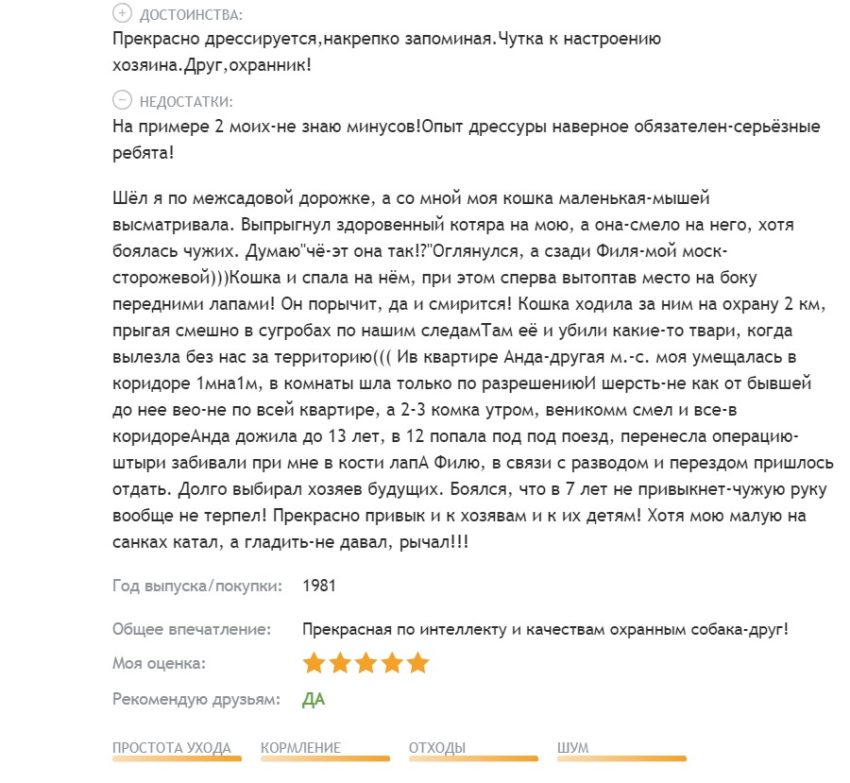 Московская сторожевая овчарка