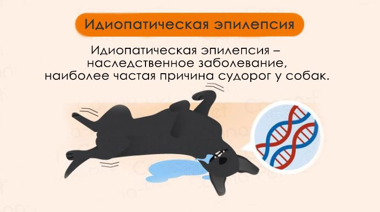 Идиопатическая эпилепсия