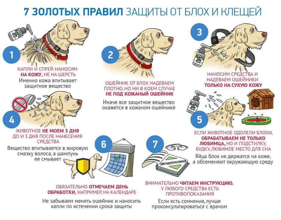 защита от клещей
