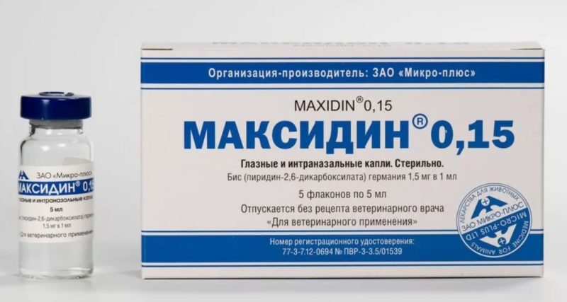 максидин