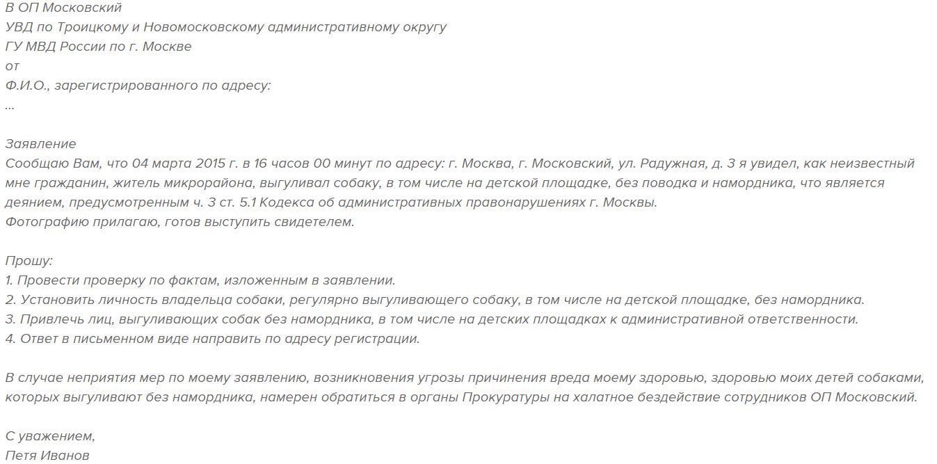 Закон о выгуле собак, что нужно знать о запретах и штрафах
