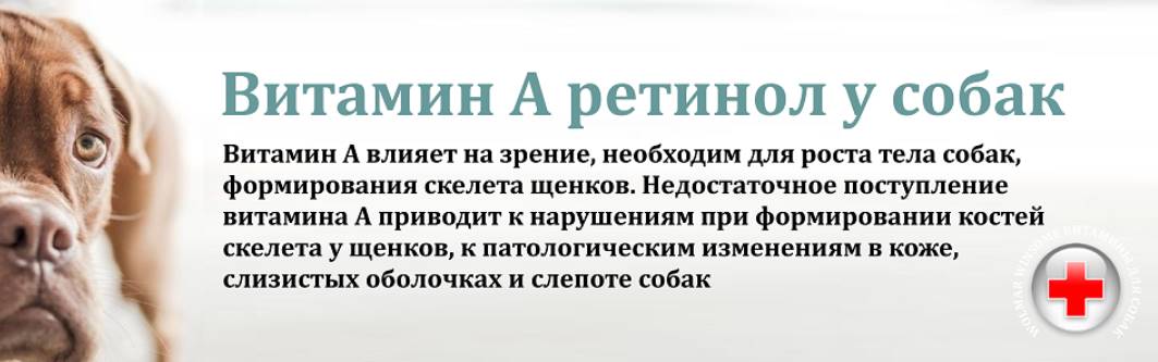 Витамин А для собак