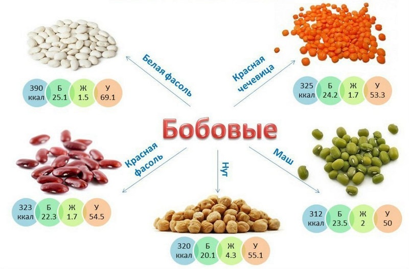 Состав и энергетическая ценность бобовых