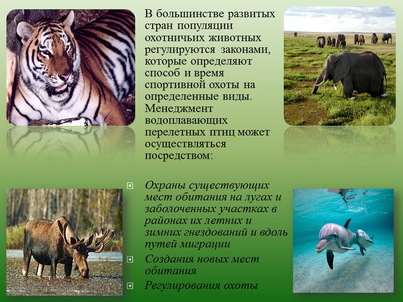 Законодательные меры охраны природы