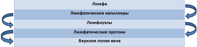 Схема движения