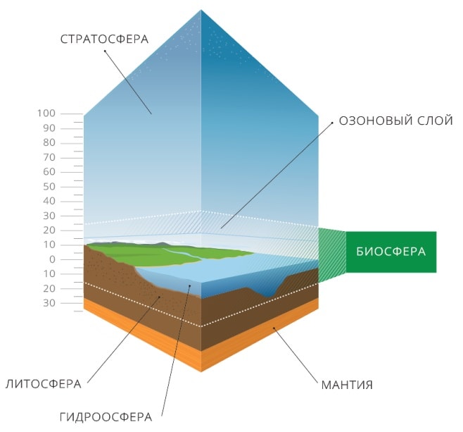 Где проходят границы биосферы