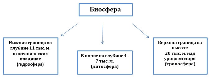 Схема границ биосферы
