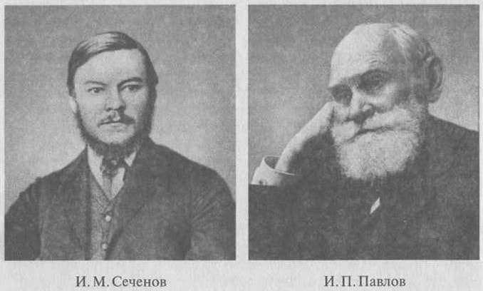Вклад И. М. Сеченова и И. П. Павлова в создание учения о высшей нервной деятельности