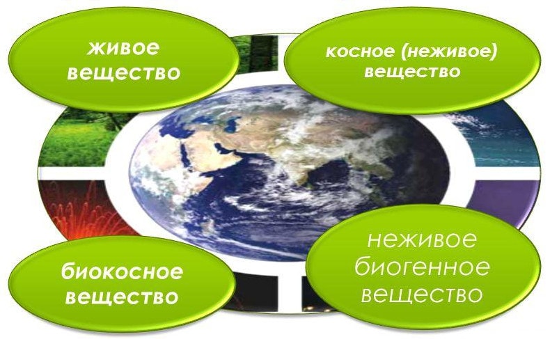 Структура и состав биосферы