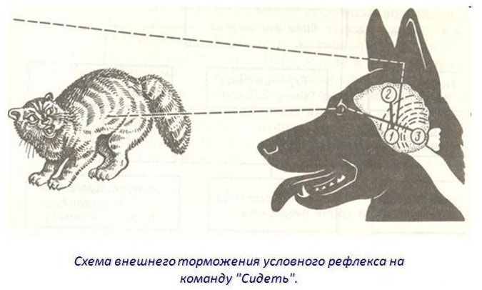 Пример внешнего торможения