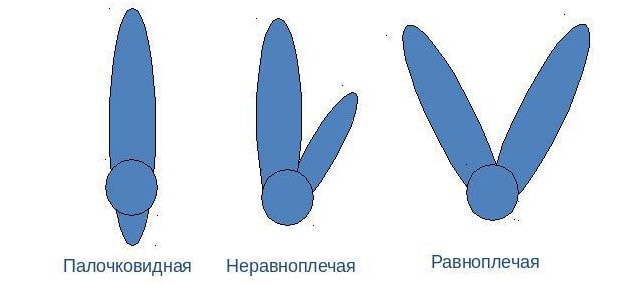 Типы хромосом