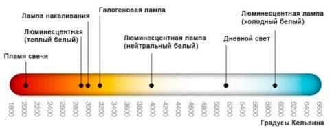 Освещение для аквариума (аквариумный свет): время работы, какой лучше, сколько света, как подобрать, расположение подсветки
