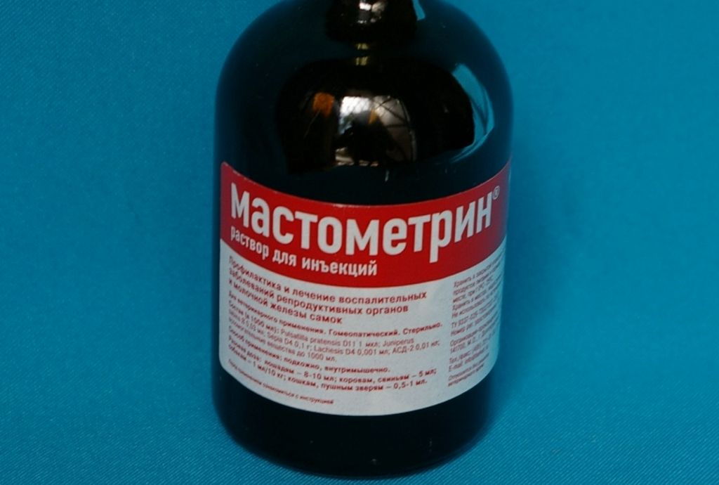 Мастометрин: инструкция по применению в ветеринарии, дозировка для кошек и собак, побочные действия