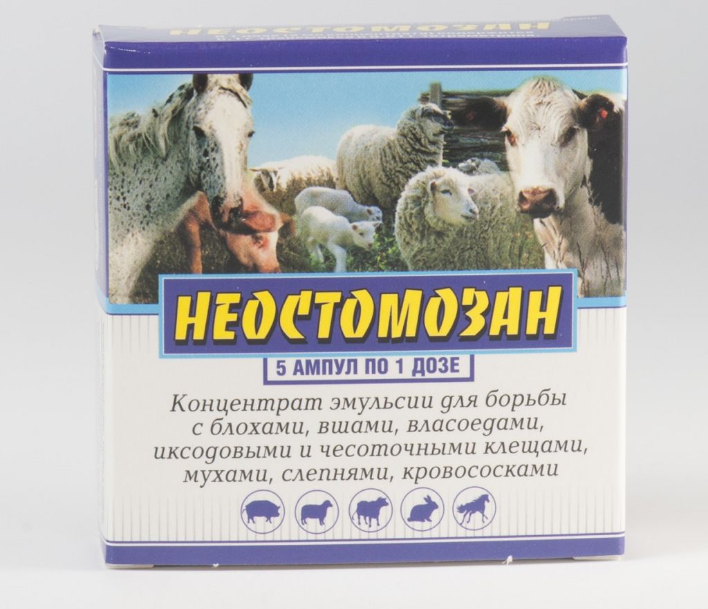 Неостомозан: инструкция по применению для собак и кошек