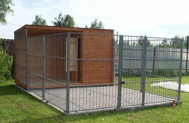 Лабрадор в квартире: уход и содержание в домашних условиях, на улице