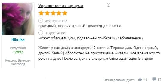 Таракатум содержание и уход за сомом: отличие самца и самки рыбки, размножение (разведение) в домашних условиях, нерест, совместимость, описание, фото